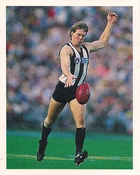 1993 Select AFL Stickers #72 Gavin Brown Front